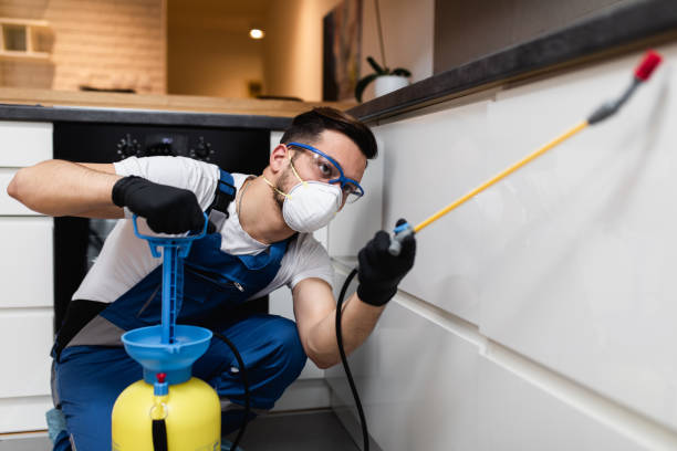Best Mosquito Control Services  in Combined Locks, WI