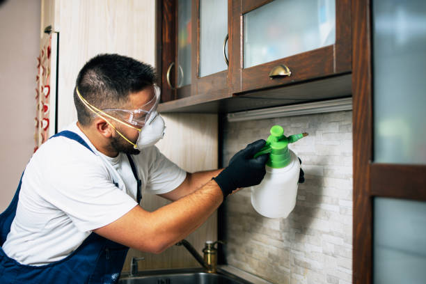 Best Affordable Pest Control Services  in Combined Locks, WI
