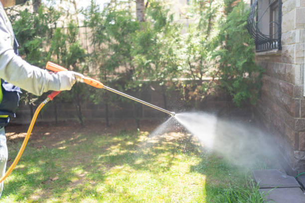 Best Spider Control Near Me  in Combined Locks, WI