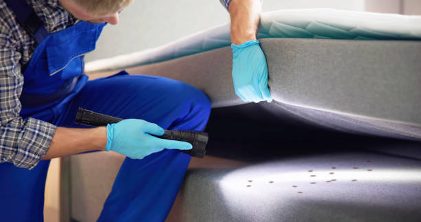 Best Ant Control Services  in Combined Locks, WI