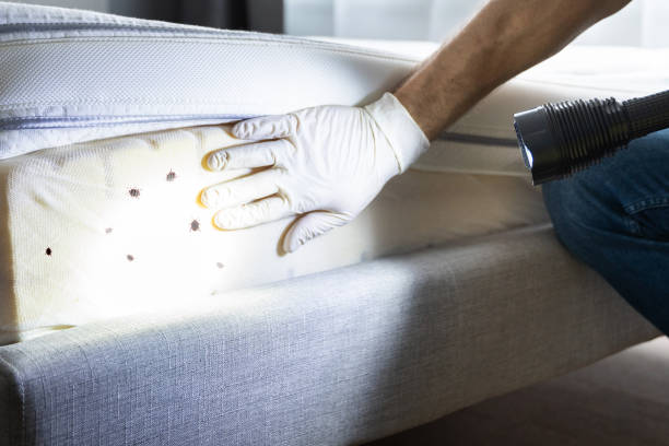 Best Pest Removal Services  in Combined Locks, WI