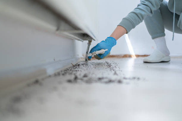 Best Wasp Removal Services  in Combined Locks, WI