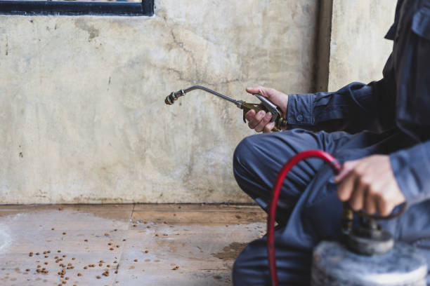 Best Rat Extermination Near Me  in Combined Locks, WI